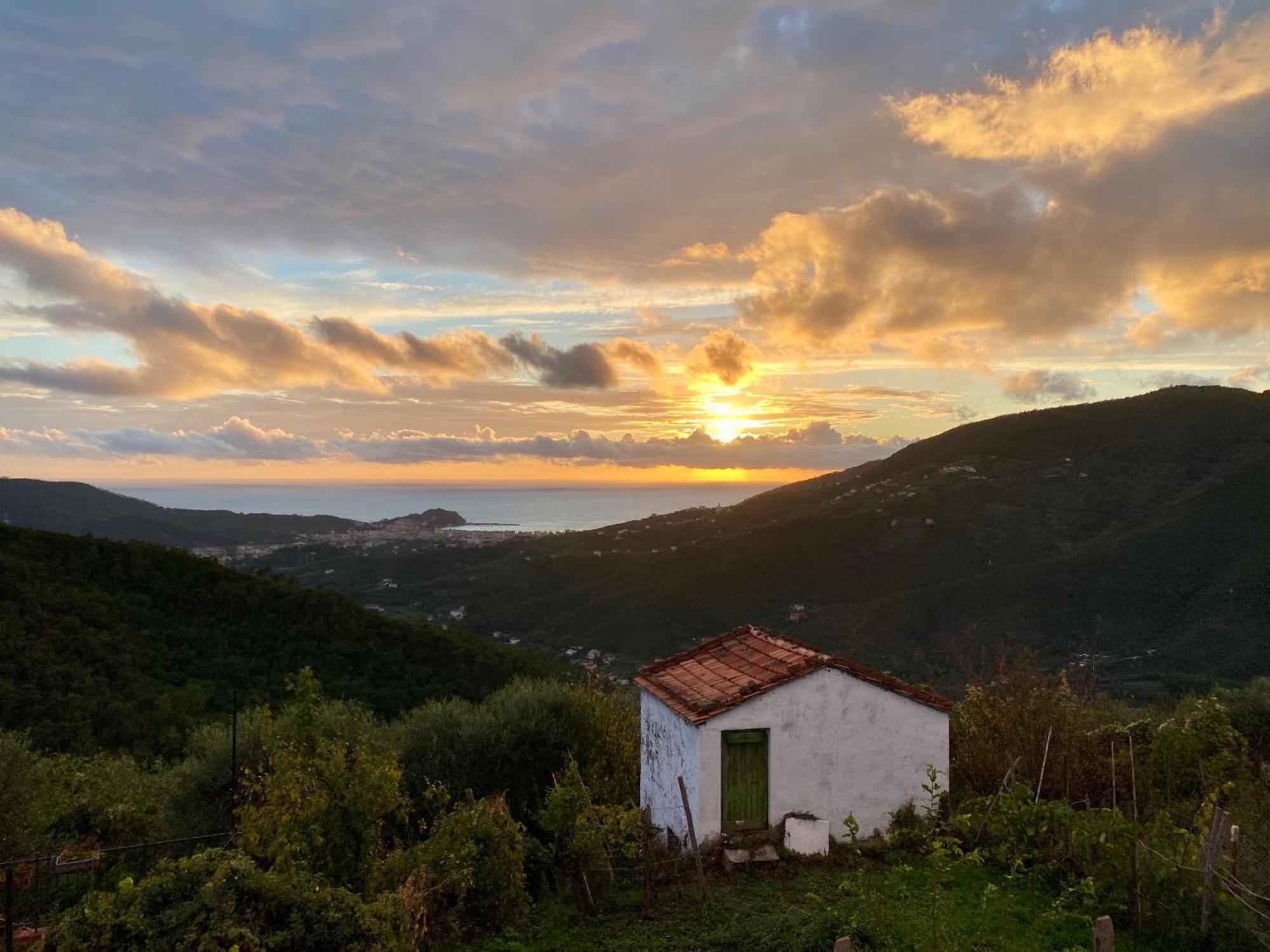 La Collina Sul Mare - Casa Vacanze Sestri Levante Exteriör bild